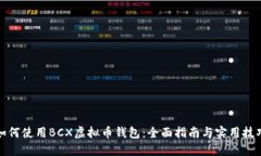 如何使用BCX虚拟币钱包：全面指南与实用技巧