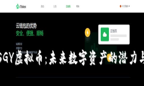 深入了解SGY虚拟币：未来数字资产的潜力与投资策略