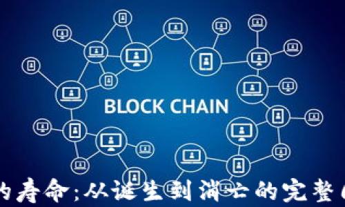 
虚拟币的寿命：从诞生到消亡的完整周期分析