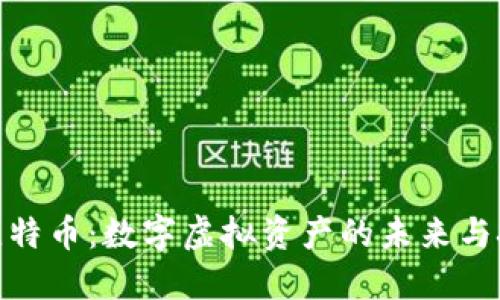 : 比特币：数字虚拟资产的未来与挑战