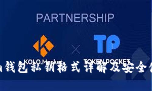 Tokenim钱包私钥格式详解及安全使用指南