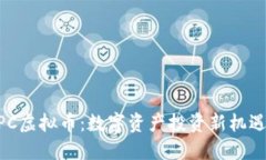  BHPC虚拟币：数字资产投资新机遇详解