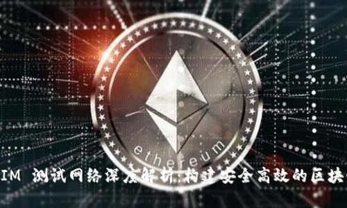 TokenIM 测试网络深度解析：构建安全高效的区块链应用