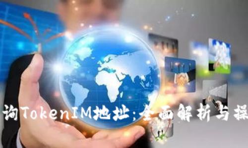 如何查询TokenIM地址：全面解析与操作指南