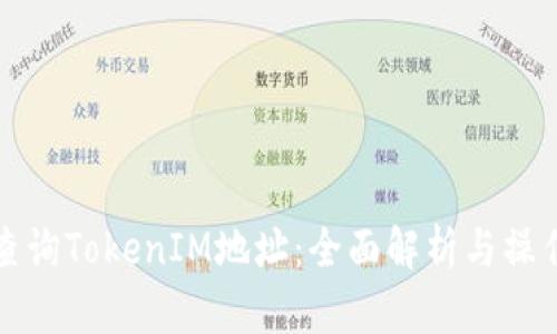 如何查询TokenIM地址：全面解析与操作指南