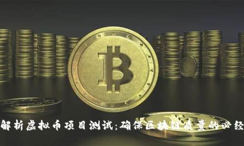 全面解析虚拟币项目测试：确保区块链质量的必经之路