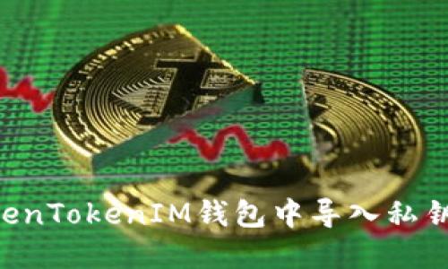 如何在TokenTokenIM钱包中导入私钥：详细指南