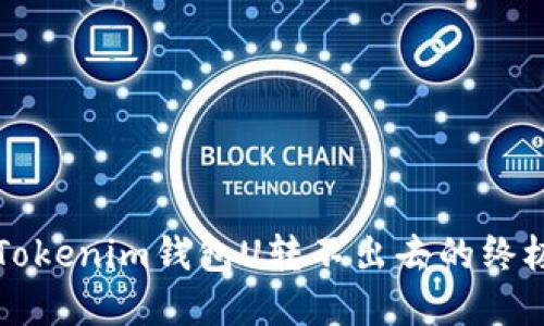 解决Tokenim钱包U转不出去的终极指南