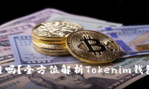 Tokenim钱包支持币安链吗？全方位解析Tokenim钱包的功能与币安链的关系