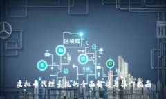 虚拟币代理系统的全面解析与操作指南