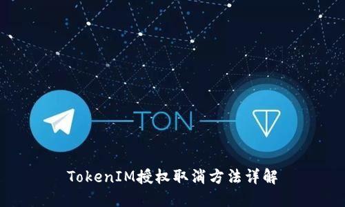 TokenIM授权取消方法详解