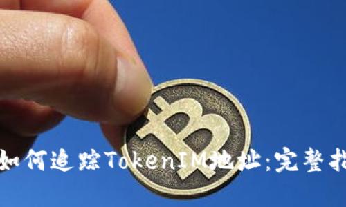 : 如何追踪TokenIM地址：完整指南