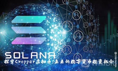 探索Cropper虚拟币：未来的数字货币投资机会