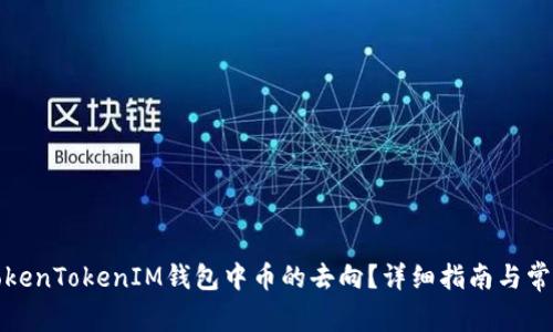 如何查询TokenTokenIM钱包中币的去向？详细指南与常见问题解答