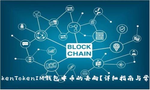 如何查询TokenTokenIM钱包中币的去向？详细指南与常见问题解答