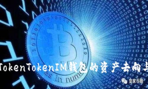 如何查询TokenTokenIM钱包的资产去向与交易记录