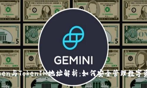 Token与TokenIM地址解析：如何安全管理数字资产