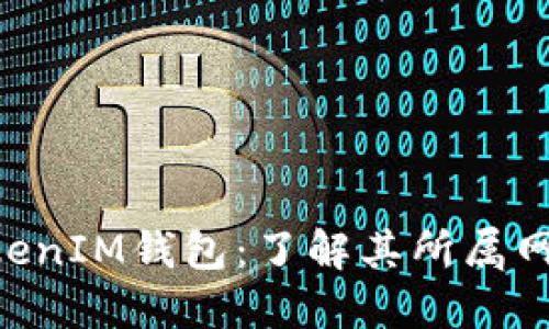 TokenTokenIM钱包：了解其所属网络及功能