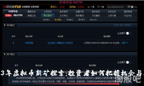 2023年虚拟币新矿探索：投资者如何把握机会与风险