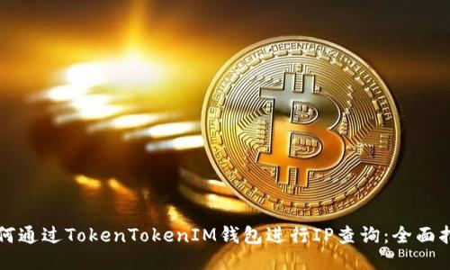 如何通过TokenTokenIM钱包进行IP查询：全面指南