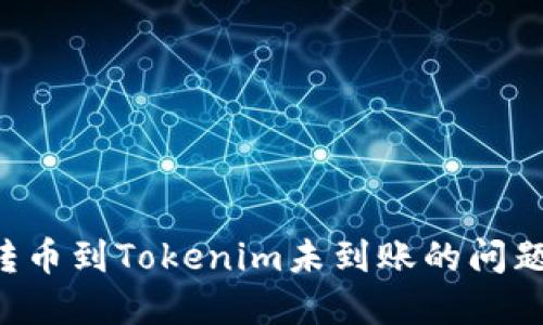 如何解决转币到Tokenim未到账的问题：详细指南