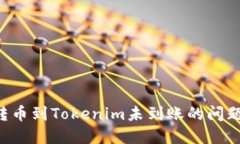 如何解决转币到Tokenim未到账的问题：详细指南