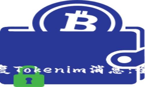 : 如何有效恢复Tokenim消息：全方位解决方案