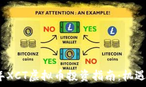   
2023年XCT虚拟币投资指南：机遇与挑战