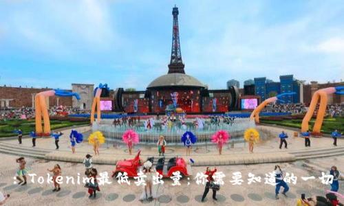 : Tokenim最低卖出量：你需要知道的一切