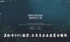 虚拟币BMI：投资、交易与未来发展全解析